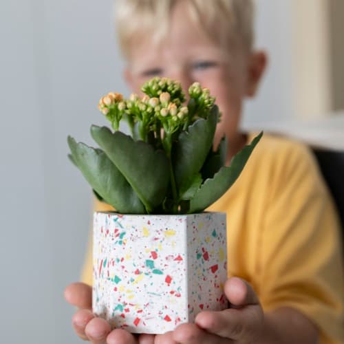 Kind houdt een kleurrijke terrazzo plantenpot vast